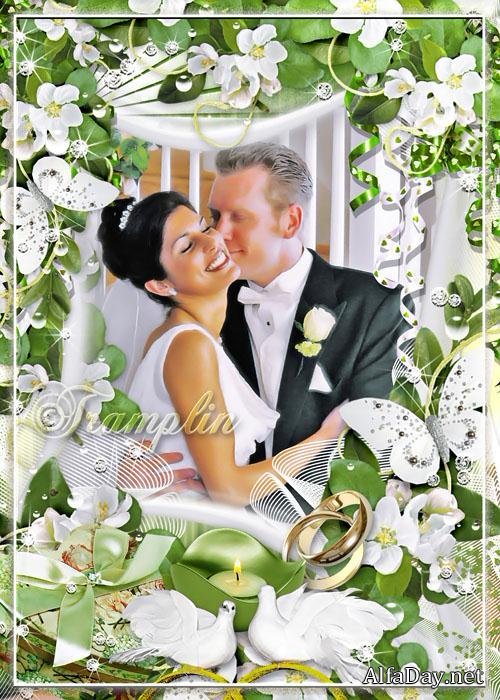 ��������� ����� ��� ���� � ������� ������ ������� - ����� �����