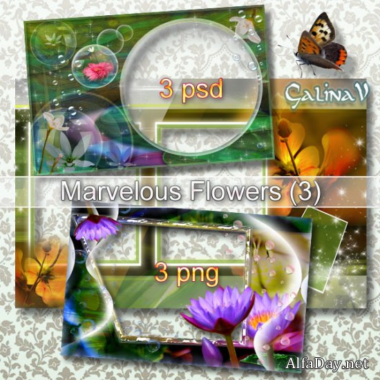 ����� ����� ��� ���� - ������ ����� (Part 3)