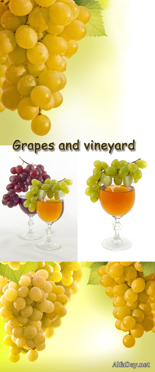 ���� ��������, ������, ����������� ��� � ������,  ����������� - ��������� �������