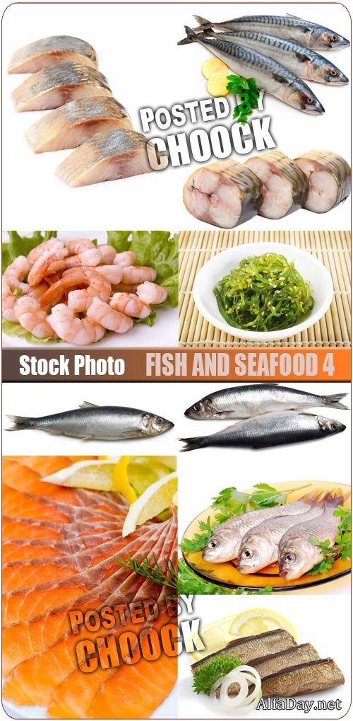 ���� � ������������, ���� | Fish and Seafood Photo