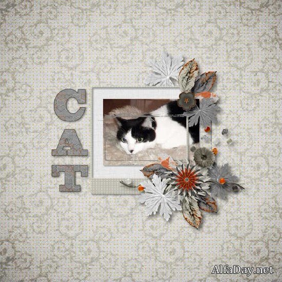 ����� ��� ������������ - ��� �����