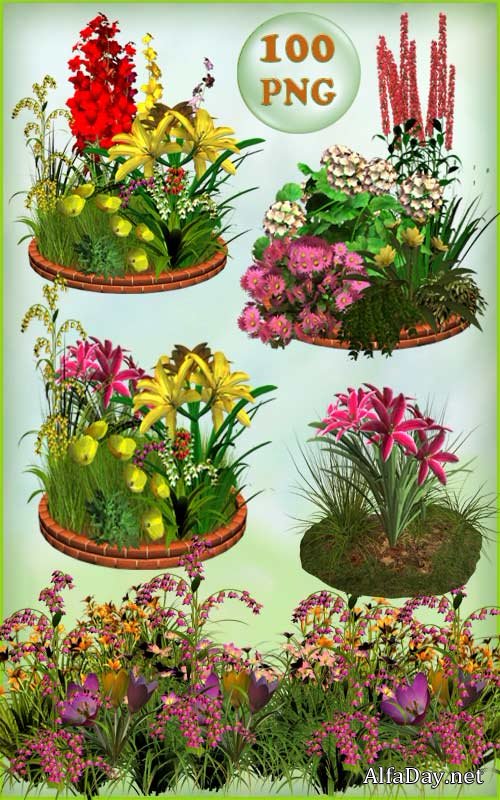 ������� �� ���������� ���� - ��������� ����������