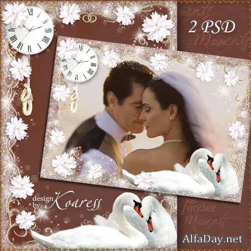 ��������� ����� ��� ���� - � ���� ������� � ��������