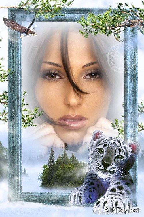 ��������� - ������� ���� � �������