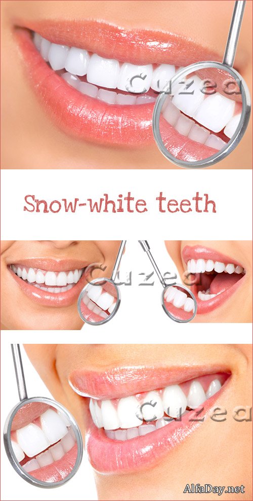 ����������� ������, �������� ����, ������������ - ����, ��������� �������