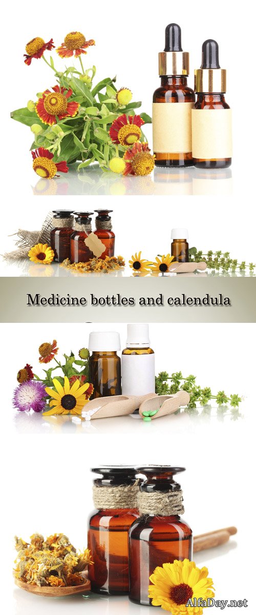 �������� ���������, ��������� ������ - ����, ��������� ������� �� ����� ����