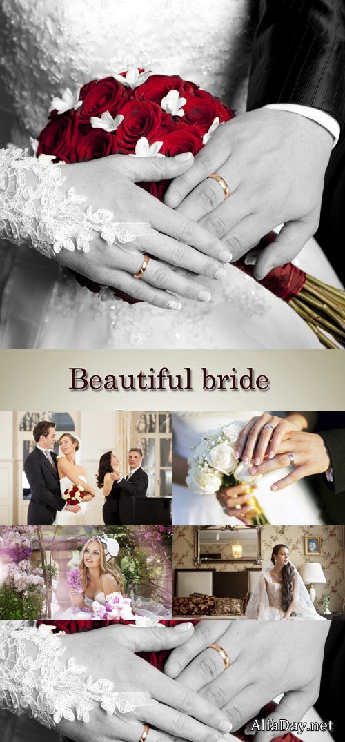 �������, �������, �����, ���������, �����, ����, ����������� ������, ����, ������ - ����, ��������� �������