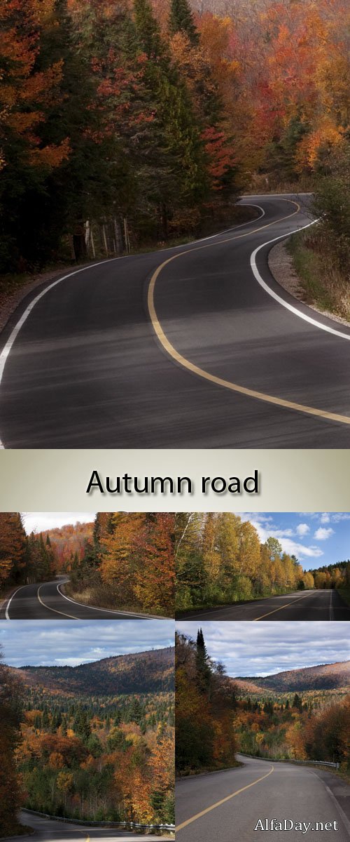 �����, ������, ������, ����� - ����, ��������� �������