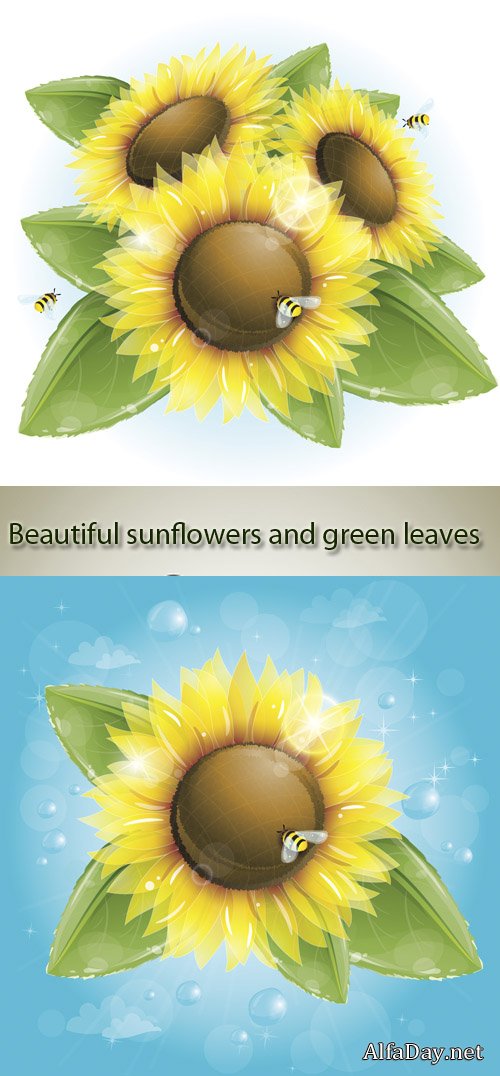 ���������� � ����� - ��������� �������