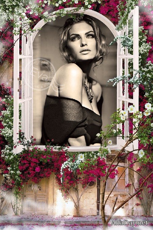 ����� ��� ���������� - ����� ��� � ����