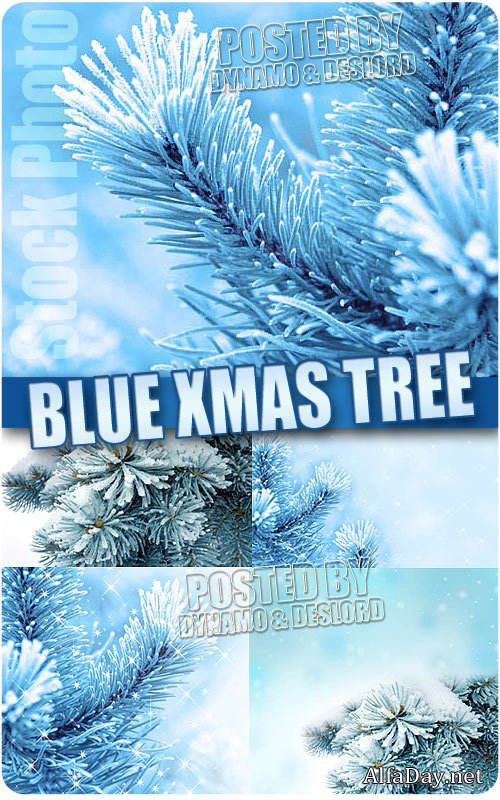 ������ ����, ������� ���, ���������� ������ ����� - ����, ��������� �������