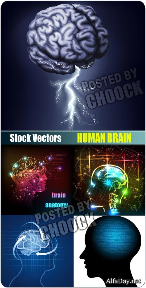 ���� �������� - ��������� �������