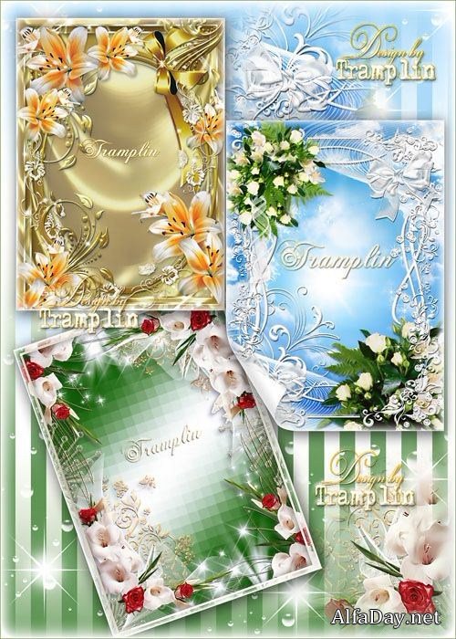 ��������� ����� ��� ���� � ����, �����, ����������