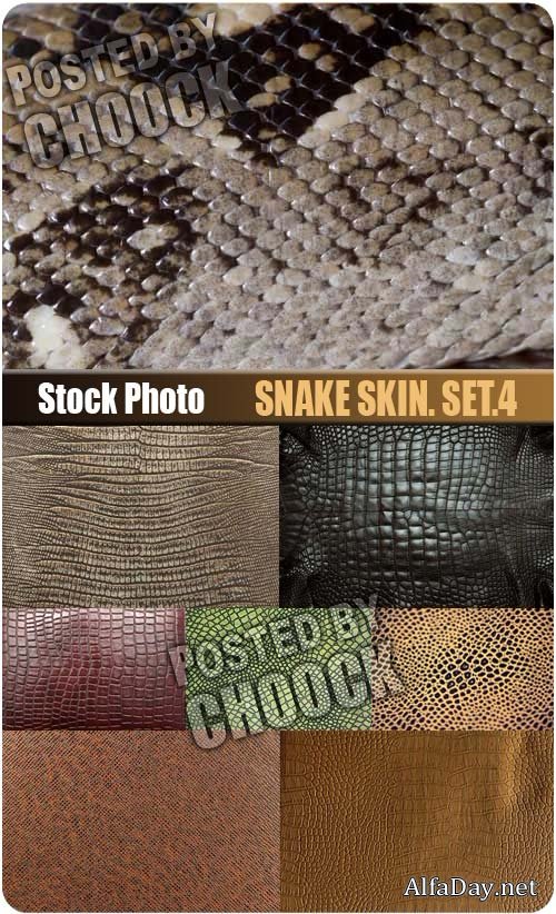 ������� ����. ���.4 - ��������� �������