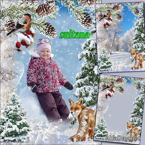 ������ ����� ��� ���� - �������� ������ ����