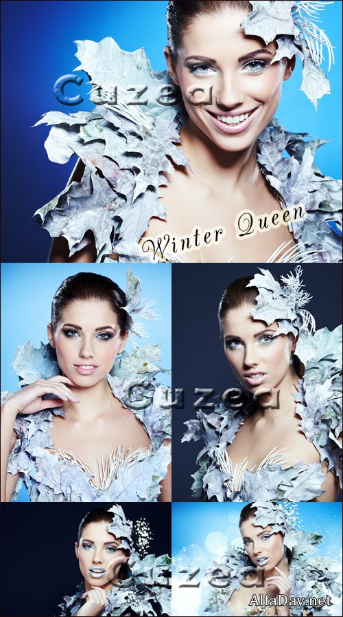 ������ ��������, ������� Winter Queen - Stock photo