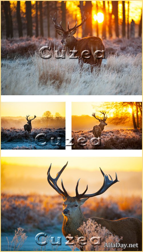 ����� � ����� ���������� ������ - Stock photo