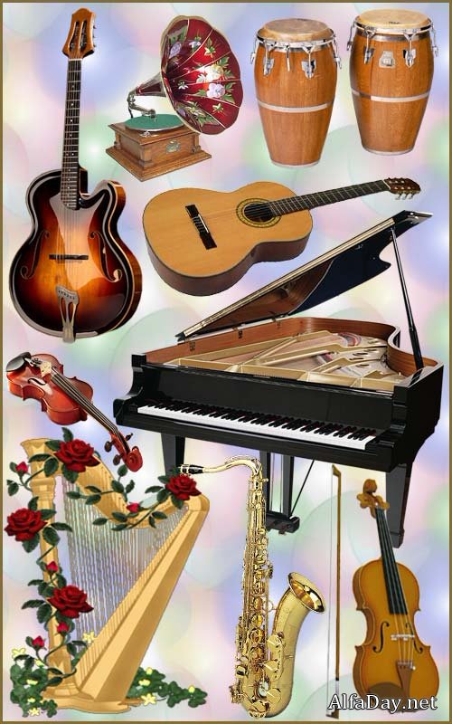 ����������� �����������, ������, ����������, �������, ����, ��������, ��������, ������� - ������� �� ���������� ����