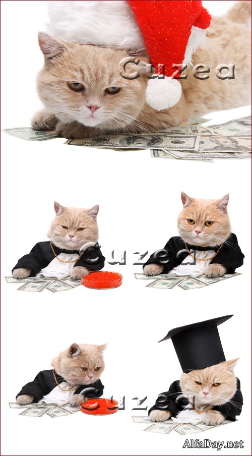 ������� ��� �� ����� � � ���������� ����� - Stock photo