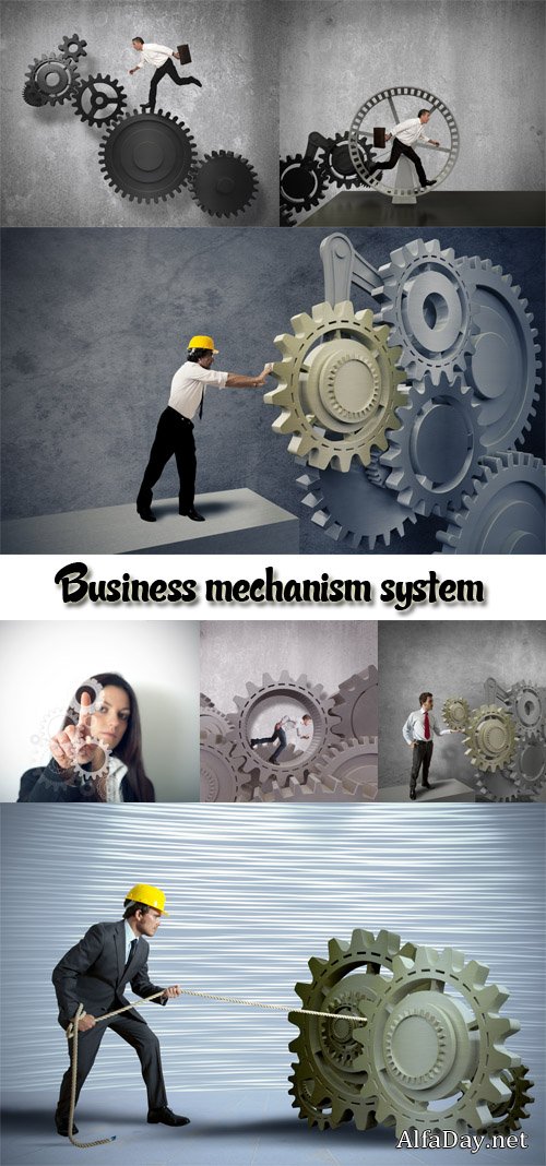 ���� ������� �������� ������� - ��������� �������