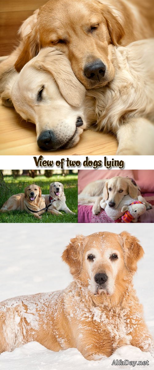 ���������� ������, ����� - ����, ��������� �������