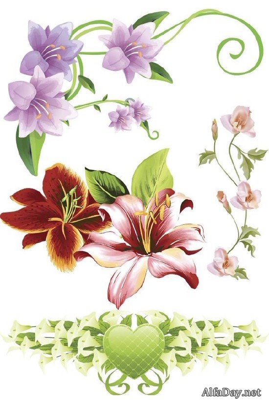 ���������� �����, ����� - ���� � PNG �������