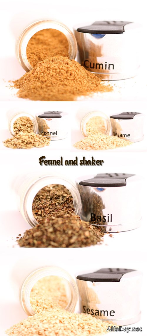 ������, �������, � ��������� ������ - ����, ��������� ������� �� ����� ����