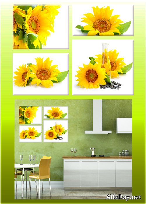 �������� � psd ������� - ����������, ����� ����������