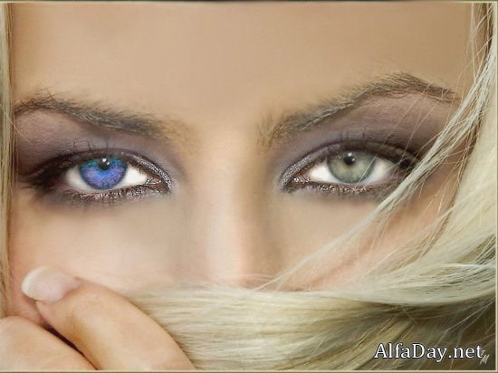 ��������� ����� ���� - ���� Photoshop