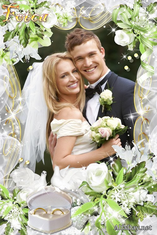 ��������� ����� ��� ���� - ������ ����� ������ � ����������