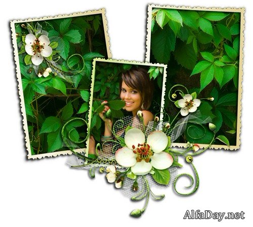 ���������� ������� � ��������� ���������� - ���������� ���, ��������� ������� ��� �������