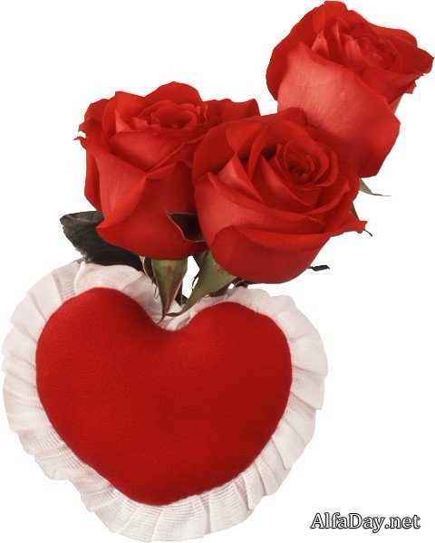 �������� �� ������ - ������� �� ���������� ����