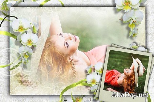 ���������� ��������� - ����� �������