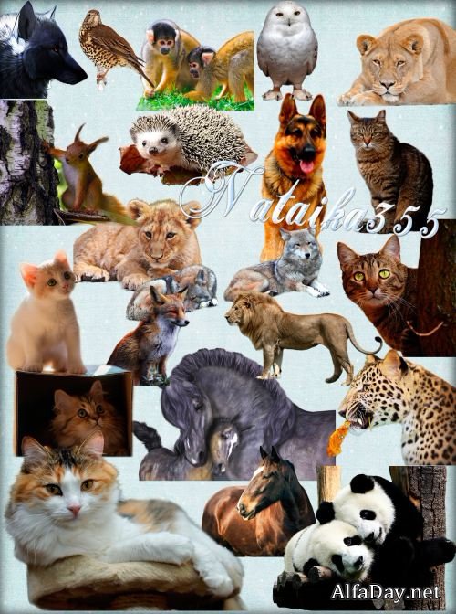 ������� �� ���������� ���� - ����� � �������� ��������