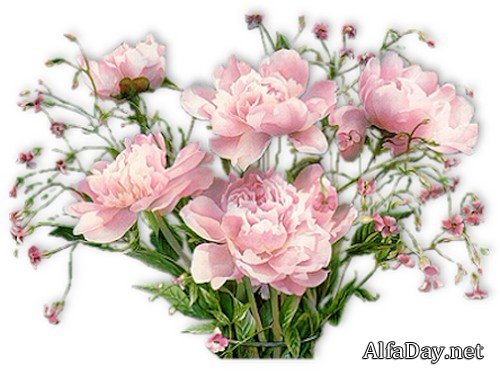 ������ ����� �����, �������, ���������� - ��������� ������� �� ���������� ����