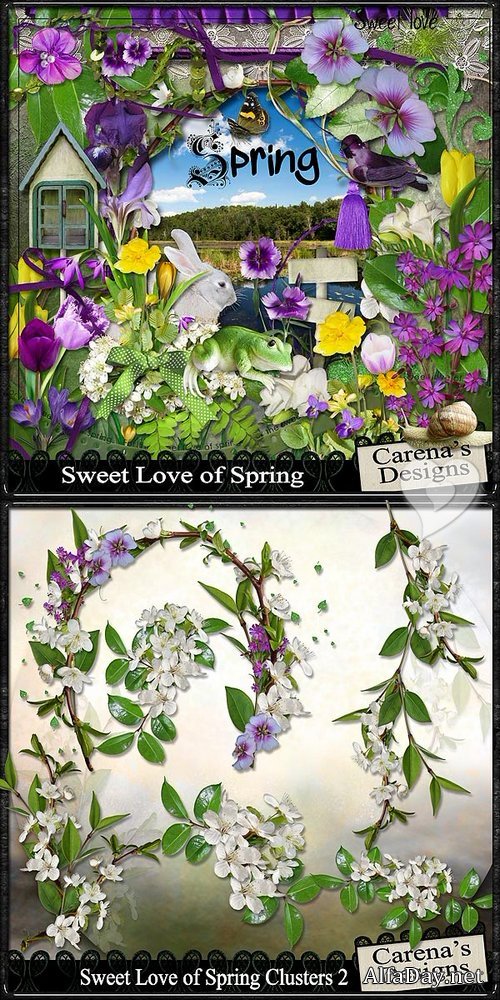 ��������� ����� ����� - �������� ����� � �����