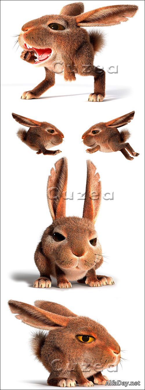 �������� ������ �� ����� ����, ����������� 3D - ��������� �������