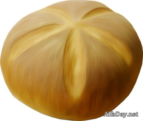 ���������, ��������, ������� ���������� ����� � �����, �������� ������� - ������� �� ���������� ����