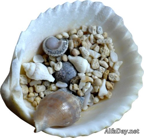 ������� ������, ����, ������, �������, �������, �����, ����� - ������� ��� ������� ������������