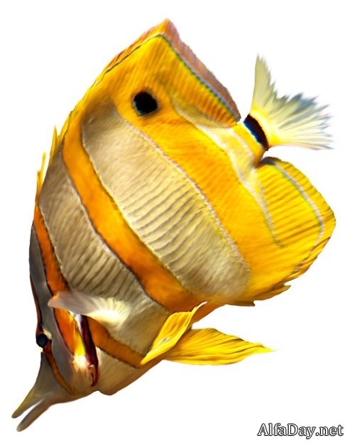 ������� ������, ����, ������, �������, �������, �����, ����� - ������� ��� ������� ������������