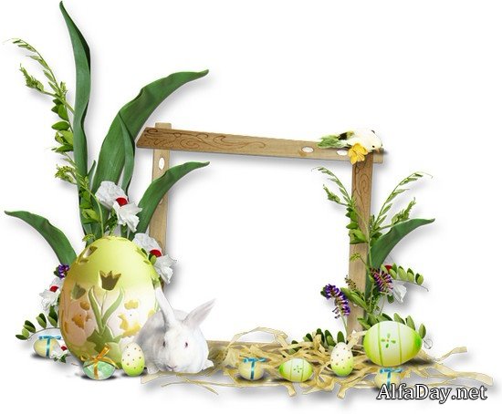 �����, ��������� ��������, ���������� ������� � �������� - ������� �� ���������� ����