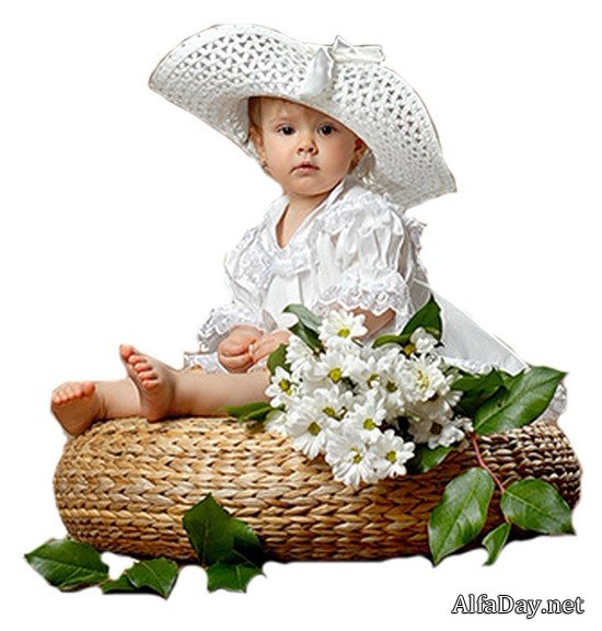 ��������� ����, ������, ��������, ��������, �������, ����� - ������� ��� ��������