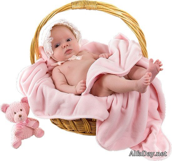 ��������� ����, ������, ��������, ��������, �������, ����� - ������� ��� ��������