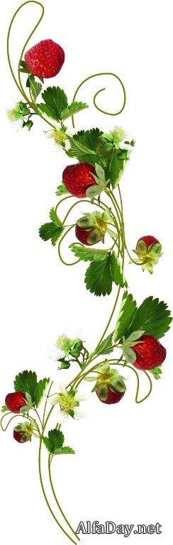 ��������� � ��������, ��������, � ���������, �������� - ������� PNG