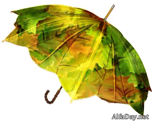 ��������� � �������� �������, ����� �� ������ � ������� - ������� ��� �������