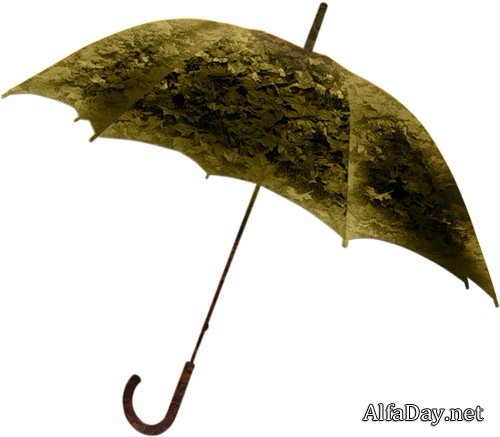 ��������� � �������� �������, ����� �� ������ � ������� - ������� ��� �������