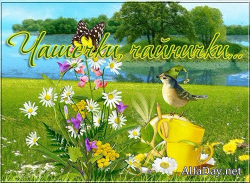 ����� � ��������, �������, ������ ������ - ������� ��� �������