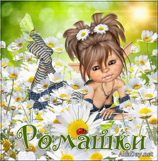 ������ �����, ������� �������, ����������, ������ - ������� ��� �������