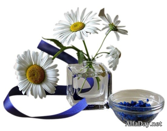 ������ �����, ������� �������, ����������, ������ - ������� ��� �������