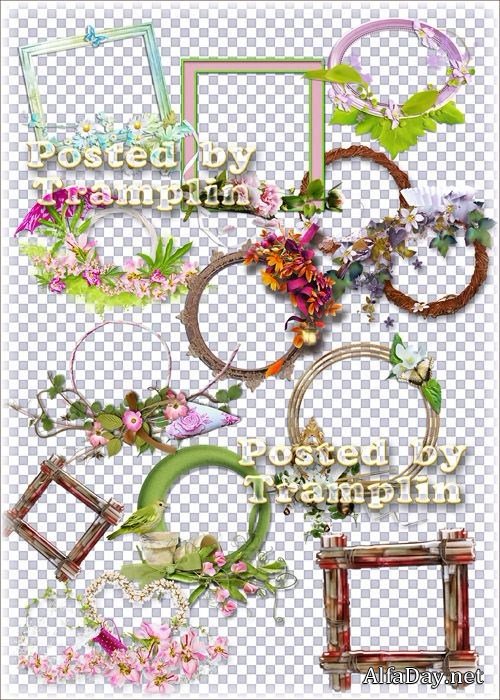 �����-������ ������ �������� ��� �������� - ������� �� ���������� ����